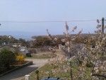objects/1138/27334_Pogled sa balkona na more.jpg
